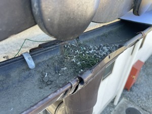軒樋 ゴミ詰まり